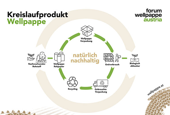 Bild: Stephan Kaar, neuer Sprecher des Forum Wellpappe Austria, über den ­nachhaltigen Packstoff und neue Trends in der Branche.