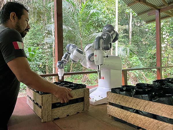 Bild: Ein Cobot namens YuMi automatisiert das Einpflanzen von Saatgut und macht die Wiederaufforstung im Amazonas schneller.