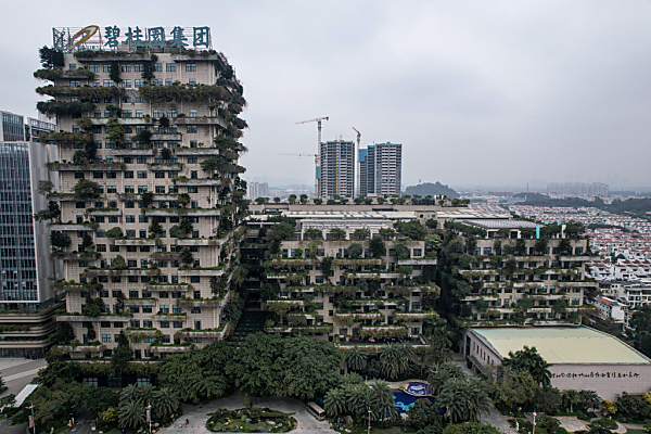 Bild: Immokrise in China: Liquidationsantrag gegen Country Garden