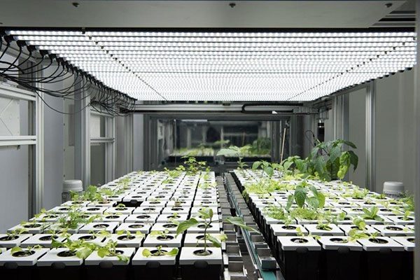 Bild: Das weltweit erste „Digital-Urban-Farming-Projekt“ startet in Frankreich und setzt dabei auf Atos als Digitalisierungs-Partner ...