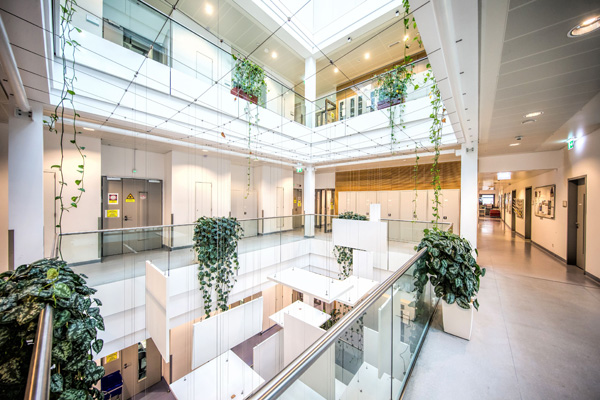 Bild: Höchste Raumqualität für Spitzenforschung am Institute of ­Science and Technology 