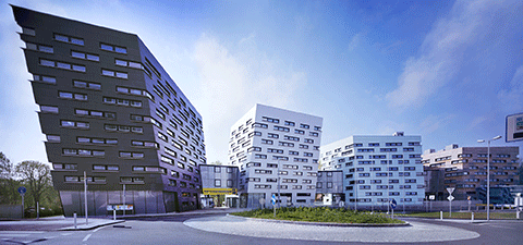 Bild: Das Engagement der Wirtschaftsagentur ecoplus trägt prächtige Früchte. Die Unternehmenslandschaft floriert und fährt mit laufendem Innovationsmotor auf der Straße des Erfolgs.