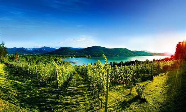 Bild: Bier und Wein haben in Österreich eine lange Tradition.  Dank der Kunstfertigkeit heimischer Winzer und Brauer genießen  diese rot-weiß-roten Kulturgüter ­international einen hervorragenden Ruf ...