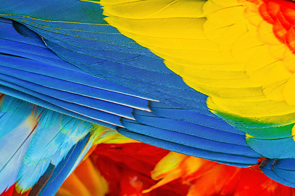 Bild: Warum soziale Vielfalt Ihrem Unternehmen eine Zukunft gibt.