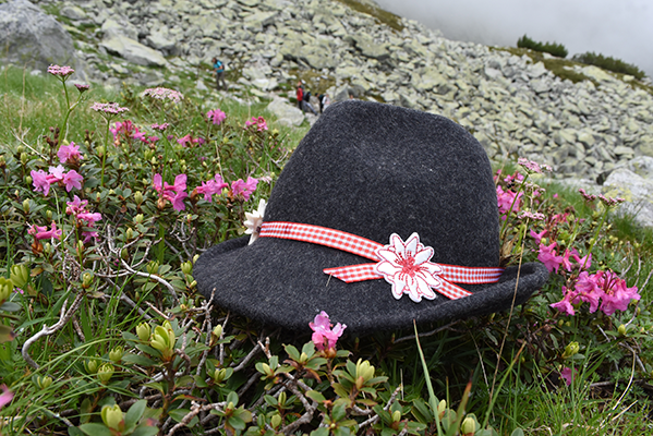 Bild: Die Leistungsbilanz 2018 zeichnet die Standortagentur Tirol als starken Motor für Forschung, Innovation und Digitalisierung aus und holte Best Practices der Tiroler Wirtschaft vor den Vorhang.