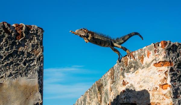 Bild: Skills Campus überbrückt Skills Gap