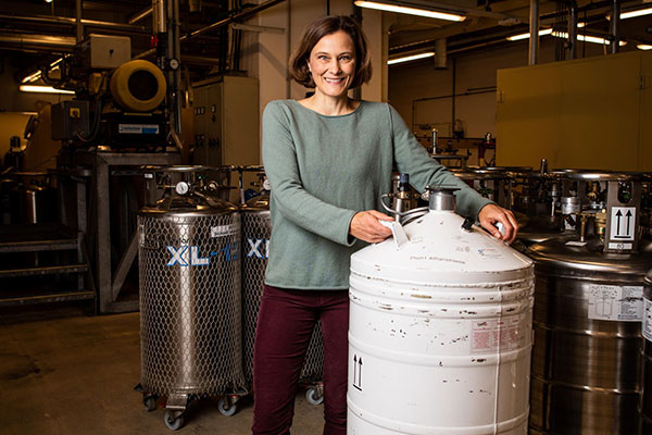 Bild: Seit Jahren wurde an der TU Wien ein neues Syntheseverfahren entwickelt,  um den Geheimnissen der „seltsamen Metalle“ auf die Spur zu kommen.  Nun gelang der Durchbruch. 