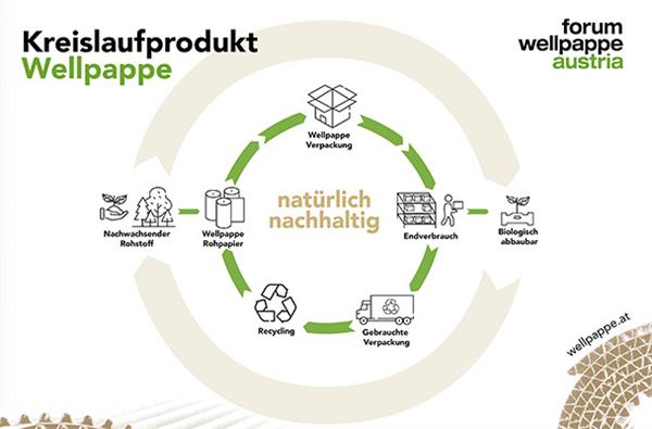 Bild: Wellpappe besteht zu 100 Prozent aus nachwachsenden Rohstoffen und wird nach Gebrauch nahezu vollständig recycelt. Stephan Kaar, Sprecher des ­Forum Wellpappe Austria, verrät im Gespräch ...