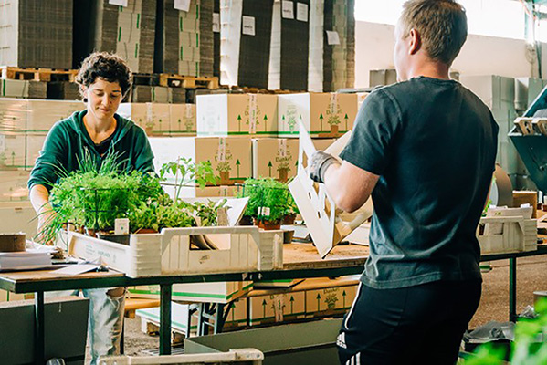 Bild: Ob Start-up-Coaching für Gründer im pannonischen Raum oder Tipps zur Optimierung des Webauftritts für burgenländische KMU  – die Expertise der FH Burgenland kommt der Region zugute.