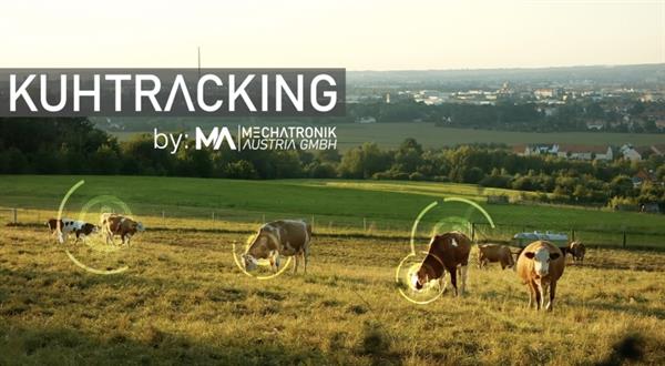 Bild: Innovatives Kuhtracking