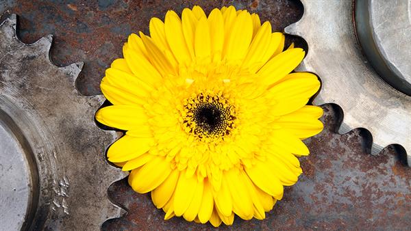 Bild: Klimaneutral dank Digitalisierung