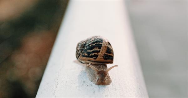 Bild: Der Arbeitsmarkt ist zu langsam