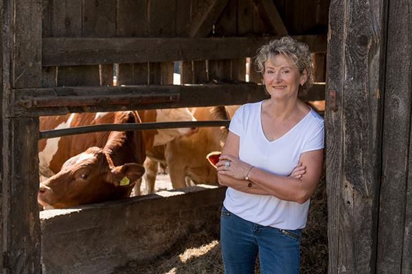 Bild: Das aktuelle Haushaltspanel der AMA Marketing zeigt für 2022 großes Interesse an Bio-Produkten und Milchprodukten in Glasflaschen. Gleichzeitig wird auch viel Fertiges gekauft.