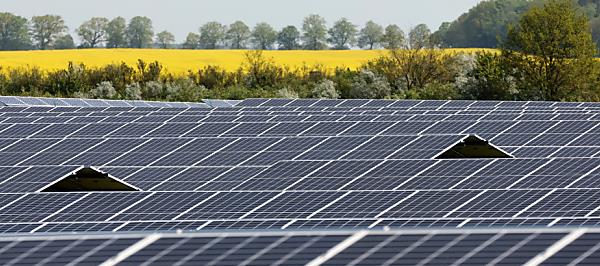 Bild: Energieagentur mahnt Länder zu Tempo bei der Energiewende