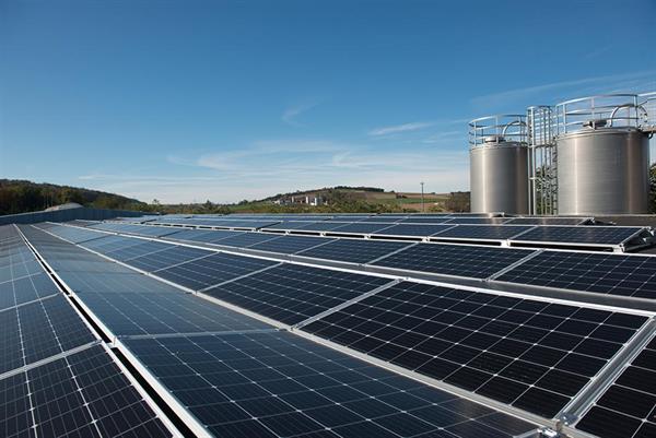 Bild: In der Tat nachhaltig