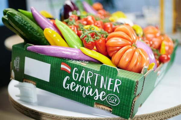 Bild: EU-Verpackungsverordnung: Frontalangriff auf Papier, Karton und Wellpappe