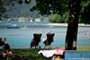 Bild: 