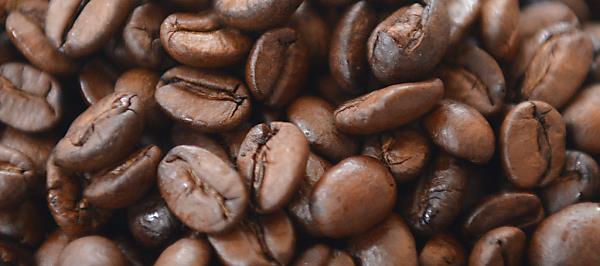 Bild: Klimawandel bereitet Kaffeeindustrie Sorgen