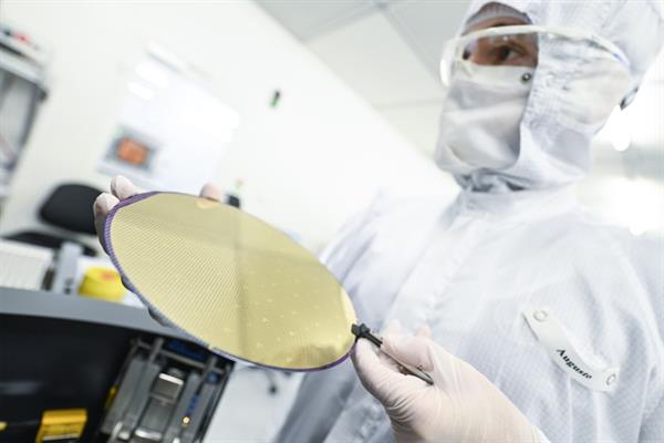 Bild: Erfolgreicher „Holzweg“