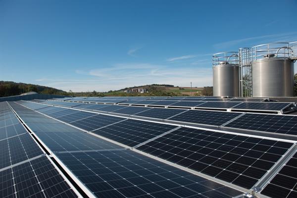 Bild: In der Tat nachhaltig