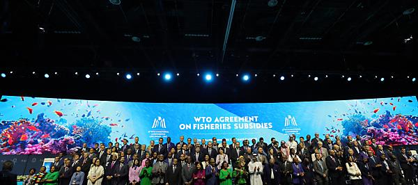 Bild: Wenig Einigkeit bei WTO-Tagung in Abu Dhabi