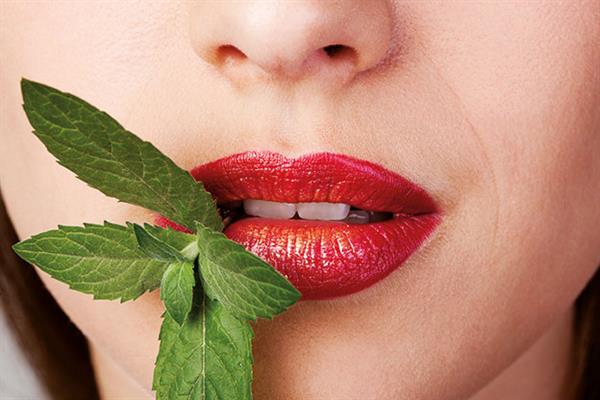 Bild: Immer noch sind Frauen und Mädchen die Ausnahme in technischen Berufen. Infineon Austria will daraus die Regel machen und holt vier MINT-Absolventinnen vor den Vorhang.