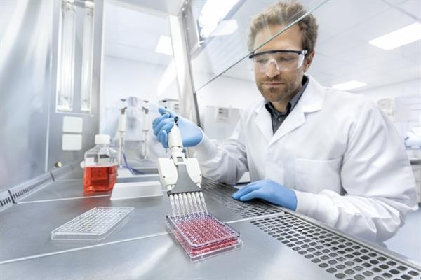 Bild: Greiner – Mehr Effizienz mit KI