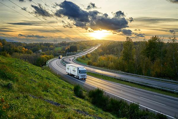 Bild: Stärke im Netzwerk