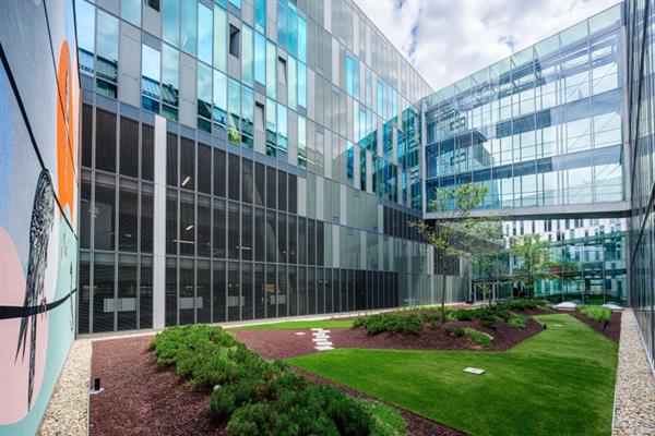 Bild: Gemeinsam an einem Strang ziehen