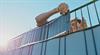Bild: Zwei steirische Unternehmen verwandeln Zäune mit ihrem Photovoltaik-Sichtschutz in nachhaltige Solarkraftwerke.
