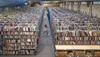 Bild: Boom der gebrauchten Bücher: Der Online-Second-Hand-Buchhändler Bookbot steigert Bestellvolumen um das Fünffache.