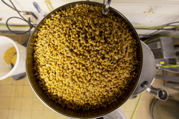 Bild: Trump droht Peking mit Stopp von Speiseöl-Import