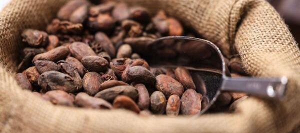 Bild: Schokoladenpreise sollen laut Ritter Sport-Chef steigen