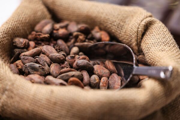 Bild: Schokoladenpreise sollen laut Ritter Sport-Chef steigen