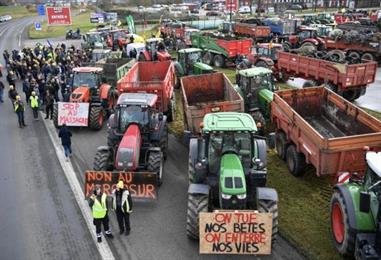 Bild: EU will Mercosur-Vertrag am 12. Jänner unterschreiben