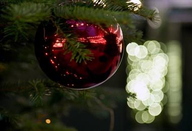 Bild: Weihnachtsfeiern kurbeln Gastro-Geschäft an