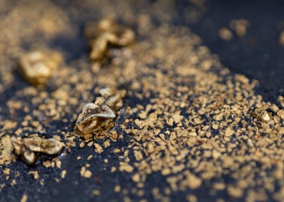 Bild: Venezuelas Rohstoffsektor: Viel ungenütztes Potenzial