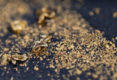 Bild: Venezuelas Rohstoffsektor: Viel ungenütztes Potenzial