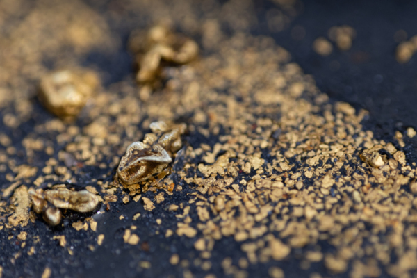 Bild: Venezuelas Rohstoffsektor: Viel ungenütztes Potenzial