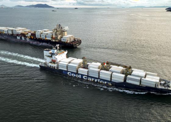 Bild: Welthandel bleibt trotz geopolitischer Turbulenzen robust