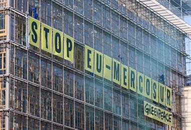 Bild: Lebensmittelhandel mit Mercosur-Ländern bisher gering