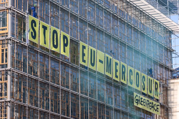 Bild: Lebensmittelhandel mit Mercosur-Ländern bisher gering