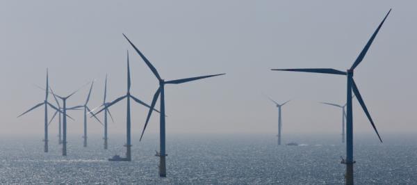 Bild: Nordseeanrainer treiben Windkraft-Ausbau voran