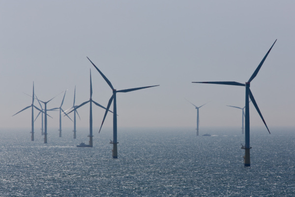 Bild: Nordseeanrainer treiben Windkraft-Ausbau voran