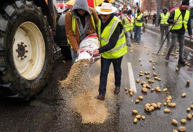 Bild: Mercosur: EU-Parlament für agrarische Schutzklauseln