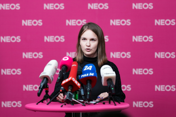 Bild: EU-Abgeordnete: Europas Energienetze sind Fleckerlteppich