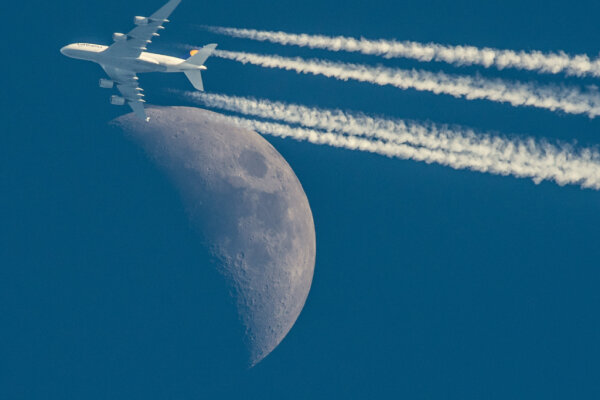 Bild: China will Probleme im Tourismus lösen