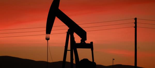 Bild: WIIW-Experte rät Österreich zu Preiseingriffen