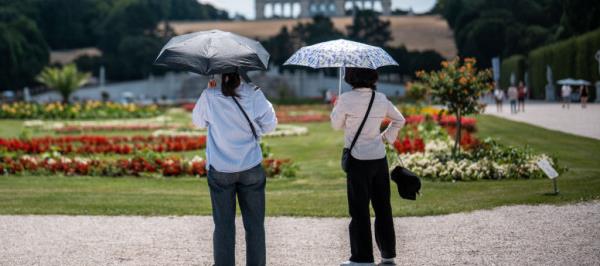 Bild: Städtetourismus 2025 spürbar belebt