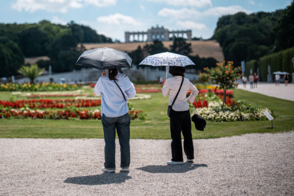 Bild: Städtetourismus 2025 spürbar belebt